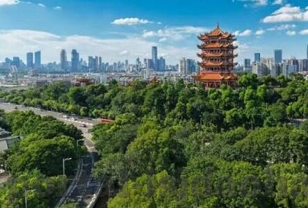 大象传媒视频下载安卓-探索大象传媒视频下载在安卓平台上的便捷性